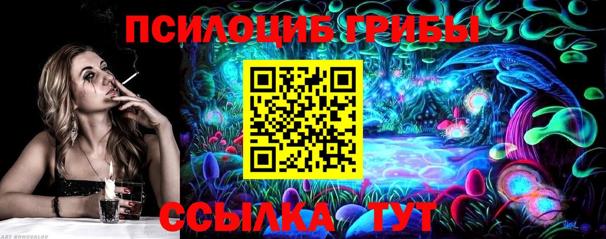 Псилоцибиновые грибы Psilocybine cubensis  Вход с VPN  Чехов 